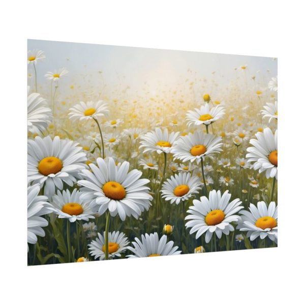 101875-672.jpg Blooming Daisy Field Poster