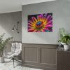 101875-679.jpg Spanish Daisy Poster