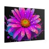 101875-682.jpg Colorful Daisy Poster