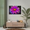 101875-683.jpg Colorful Daisy Poster