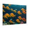 Tropical Fish Swarm Aquarium Poster
