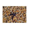 Starfish And Shells Poster