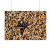 Starfish And Shells Poster