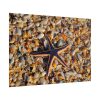 Starfish And Shells Poster
