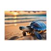 Marine Turtle Beach Sea Poster