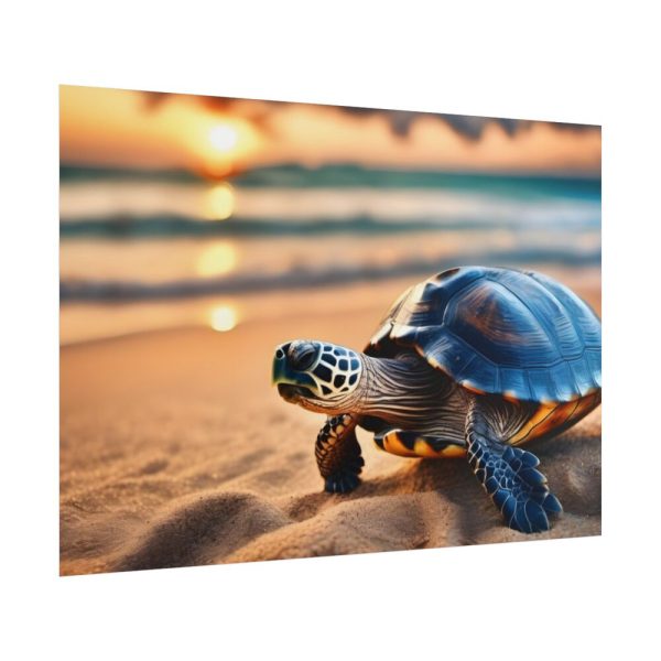 Marine Turtle Beach Sea Poster