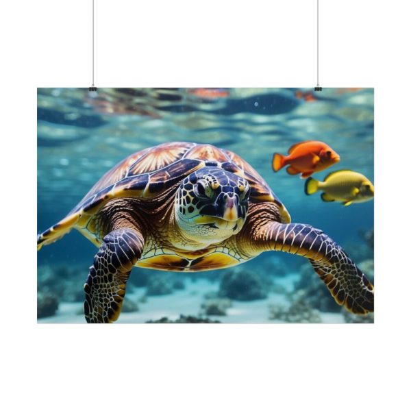 Swimming Sea Turtle Poster