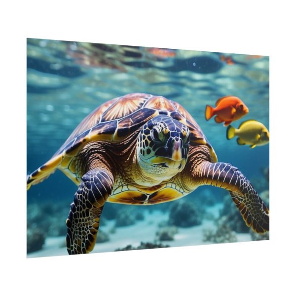 Swimming Sea Turtle Poster