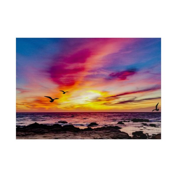 101875-95.jpg Pink Sky Sunset Poster