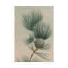 101894-120.jpg Wild Plant Poster