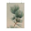 101894-121.jpg Wild Plant Poster