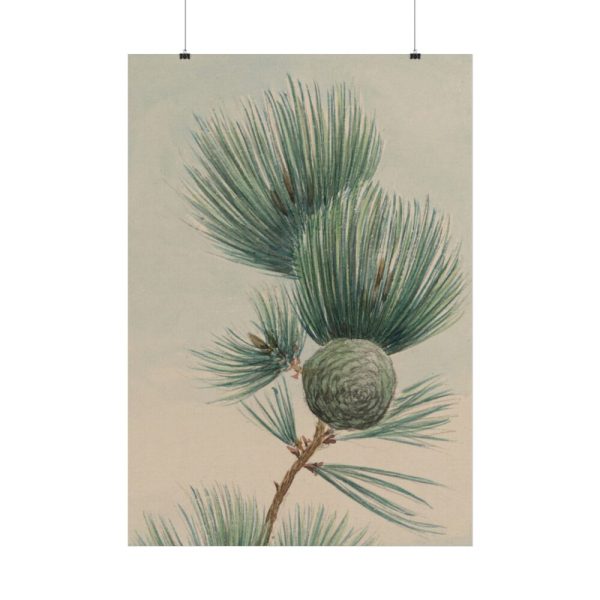 101894-121.jpg Wild Plant Poster