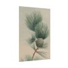 101894-122.jpg Wild Plant Poster