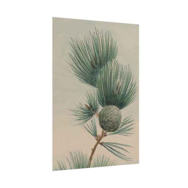 101894-122.jpg Wild Plant Poster