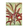101894-126.jpg Vintage Palm Tree Plant Flower Poster