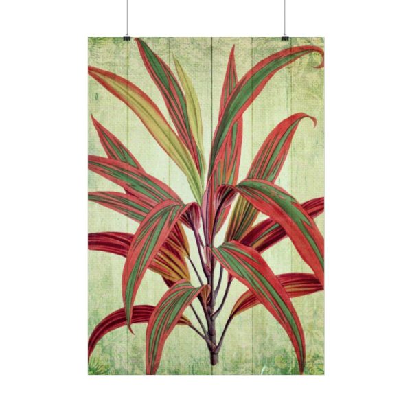 101894-126.jpg Vintage Palm Tree Plant Flower Poster