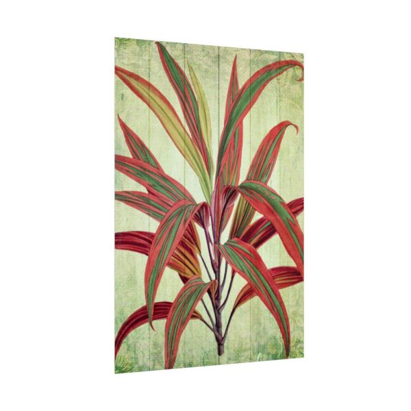 101894-127.jpg Vintage Palm Tree Plant Flower Poster