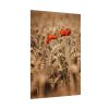 101894-152.jpg Poppy in Cornfield Poster