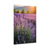 Lavender Flowers Field Poster