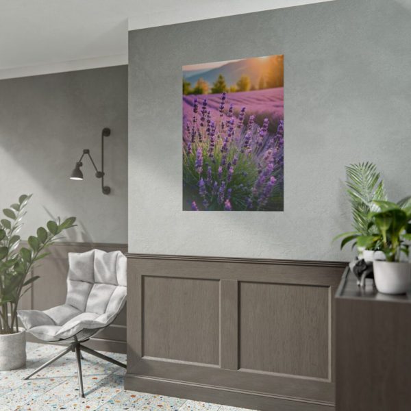 Lavender Flowers Field Poster