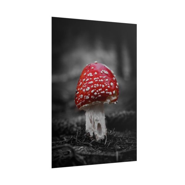 Amanita Muscaria Poster