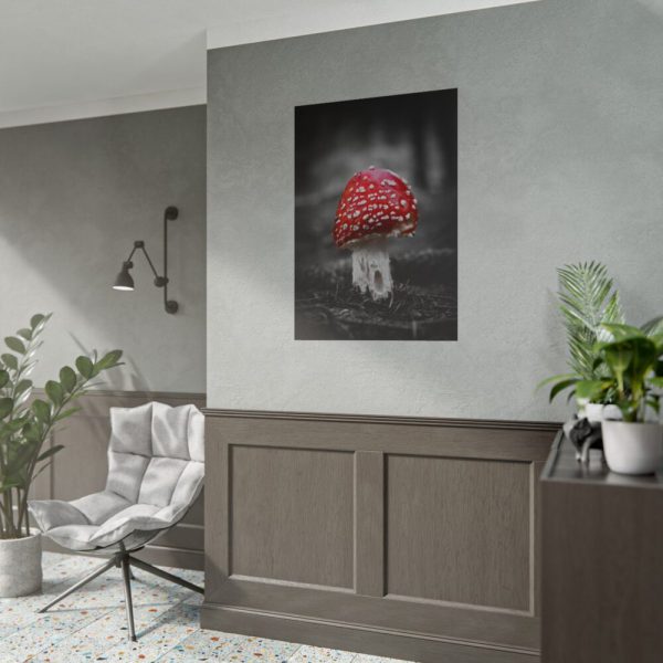 Amanita Muscaria Poster