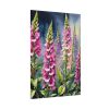101894-207.jpg Foxglove Wildflowers Poster