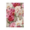 101894-275.jpg Vintage Orchid Seamless Poster