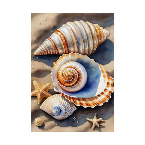 Starfish Sand Beach Art Poster