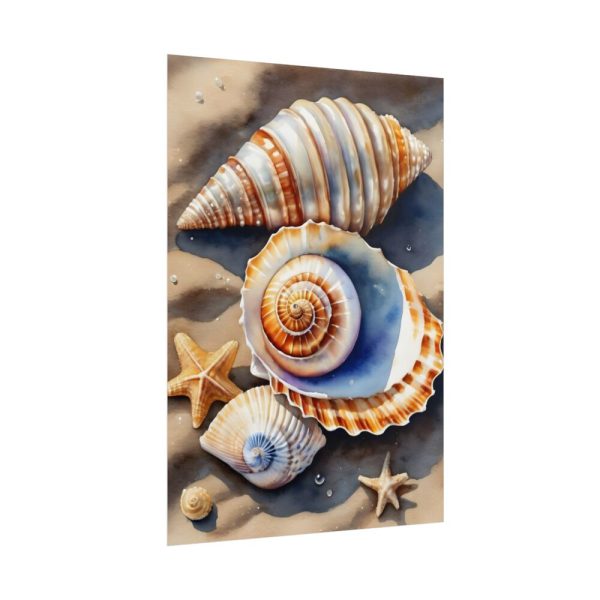Starfish Sand Beach Art Poster