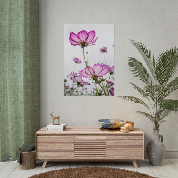 101894-43.jpg Pink Cosmos I Poster