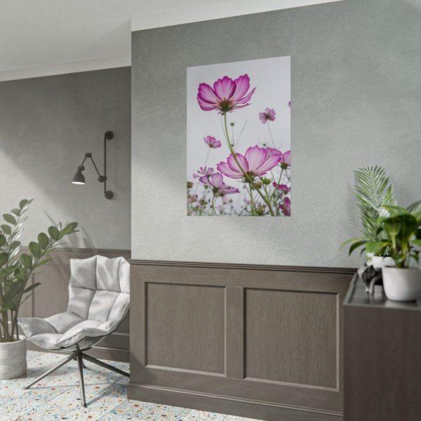 101894-44.jpg Pink Cosmos I Poster