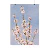 101894-66.jpg Plum Branches with blossoms Poster