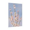 101894-67.jpg Plum Branches with blossoms Poster