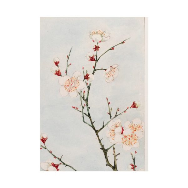 101894-70.jpg Peach Blossoms Poster