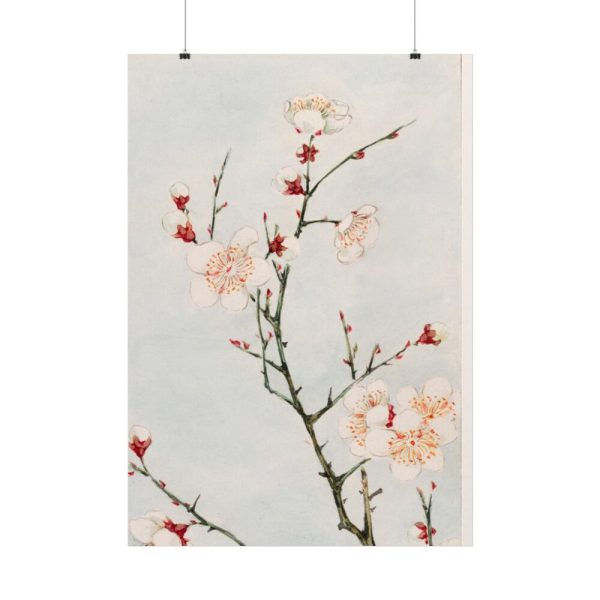 101894-71.jpg Peach Blossoms Poster