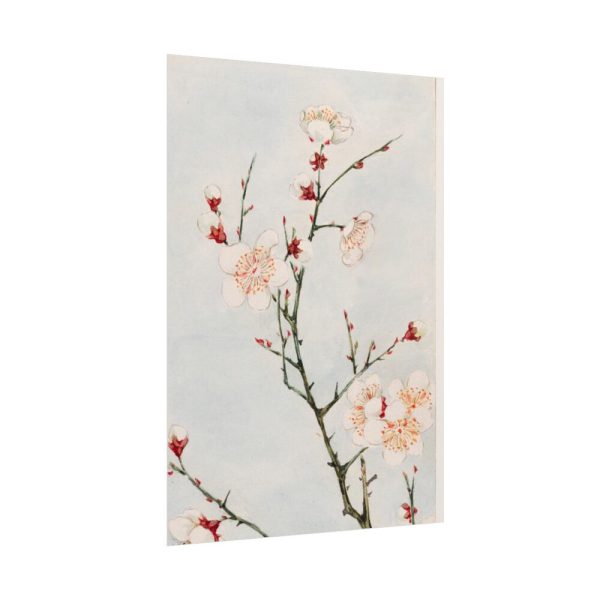 101894-72.jpg Peach Blossoms Poster