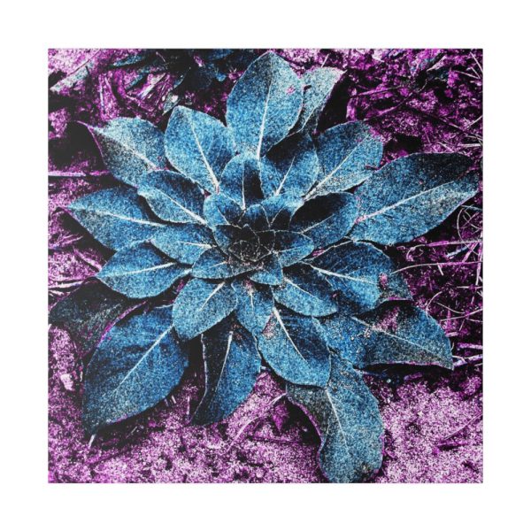 102212-25.jpg Stylized Plant Standard Canvas