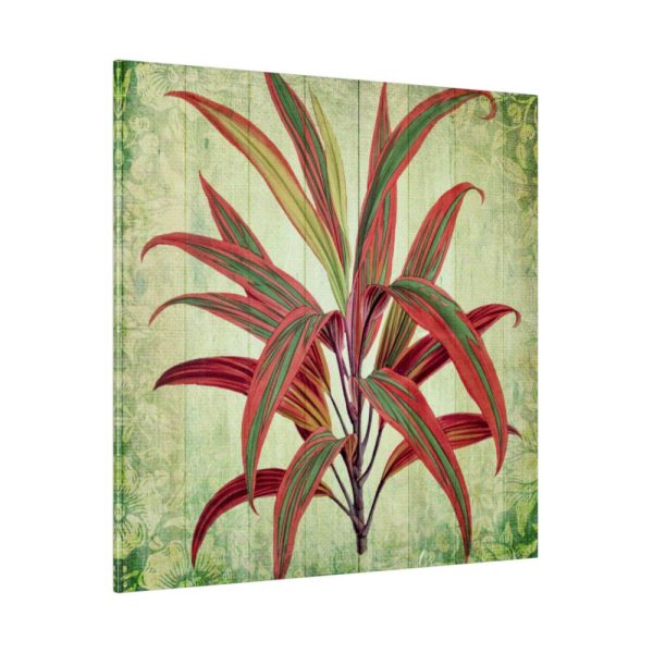 102212-4.jpg Vintage Palm Tree Plant Flower Standard Canvas