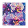 102212-49.jpg Colorful Orchid Standard Canvas