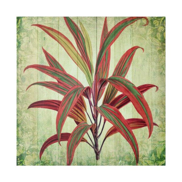 102212-5.jpg Vintage Palm Tree Plant Flower Standard Canvas