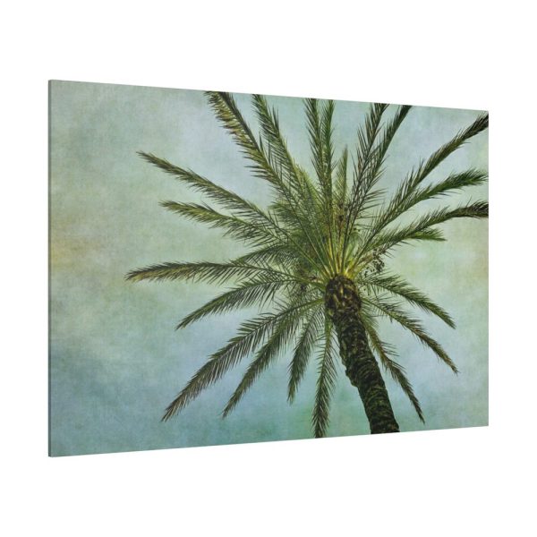 82227-104.jpg Vintage Palm Tree Canopy And Sky Standard Canvas