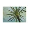 82227-105.jpg Vintage Palm Tree Canopy And Sky Standard Canvas