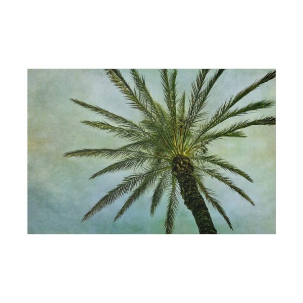 82227-105.jpg Vintage Palm Tree Canopy And Sky Standard Canvas