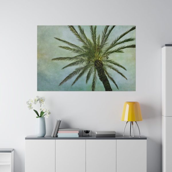82227-107.jpg Vintage Palm Tree Canopy And Sky Standard Canvas