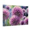 Ornamental Allium Flower Standard Canvas