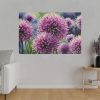 Ornamental Allium Flower Standard Canvas