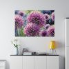 Ornamental Allium Flower Standard Canvas