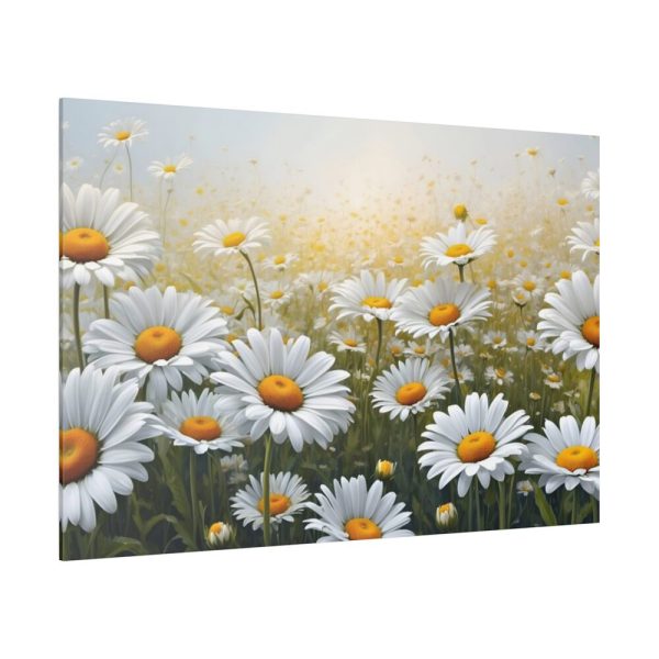 82227-128.jpg Blooming Daisy Field Standard Canvas