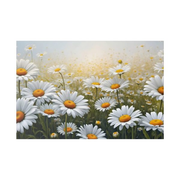 82227-129.jpg Blooming Daisy Field Standard Canvas